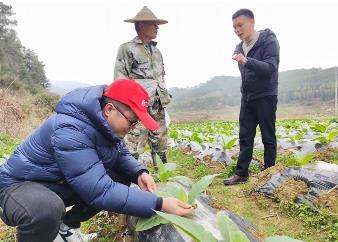 福建：按下春耕备耕“农忙键”