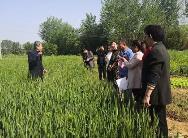 山西省农业农村厅发出通知 扎实做好农技进村入户服务