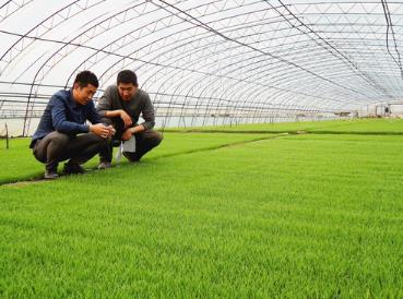 黑龙江：四月春光好 春耕备耕正当时