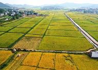 一季度我国农业农村经济保持了良好发展势头