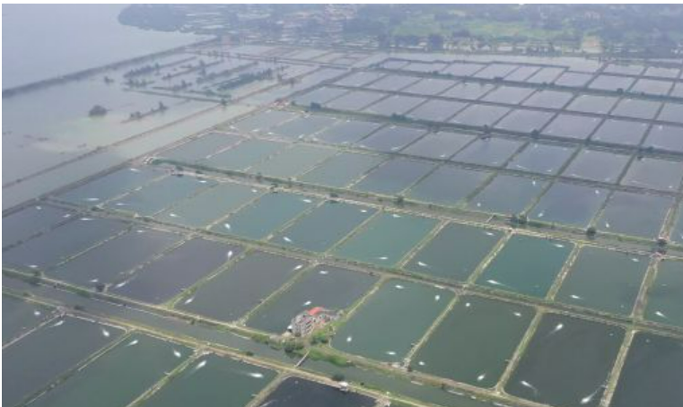 我国水产养殖种类达300种以上