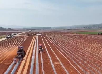 各地奏响春耕生产“进行曲” 机械化育出丰收好“苗”头