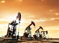 油气产业及低碳经济蓝皮书发布