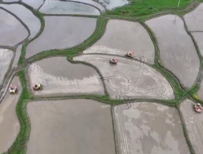 农业农村部确定大面积提单产路线图，端牢“中国饭碗”