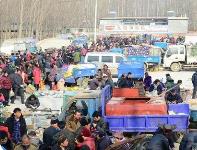 农村梯次消费升级潜力和需求空间巨大