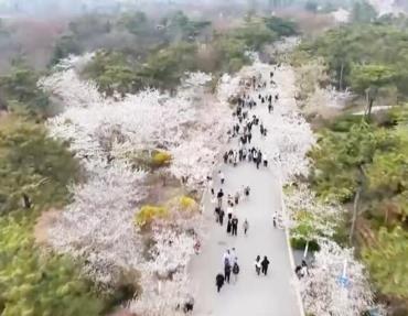 体旅融合新升级、徒步游升温、观影活动多 这个“五一”假期火热来袭