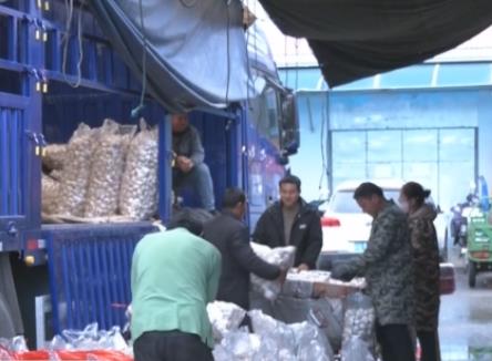 “菜篮子”价格呈现季节性下降 姜蒜供应偏紧涨势明显