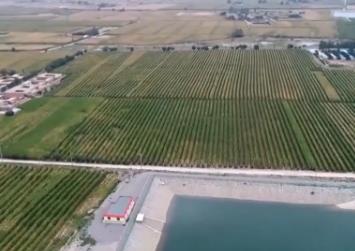 春耕见闻：河西走廊做好现代农业水文章