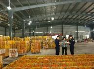 湖南一季度农产品进出口稳步向好 同比增长19.7%