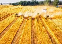 河南：确保粮食播种面积稳定在1.6亿亩以上