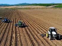 黑龙江今年春耕进度快于往年 旱田已播11105.5万亩