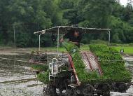 四川：农机助农人 夏收夏种忙