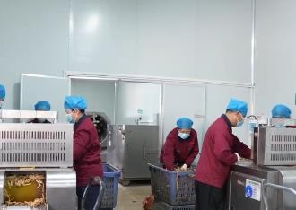 中医药“出海”需求旺盛 科技创新为中医药高质量发展插上翅膀