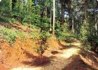 山西启动深化集体林权制度改革及试点工作