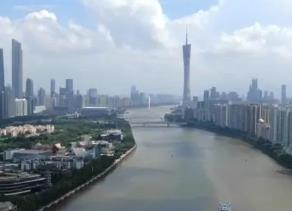 广东发展如何进阶？“老枝+新芽”凝聚向“新”