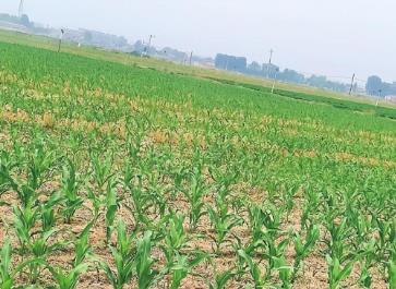 山西：科技“慧”农 护航粮食安全