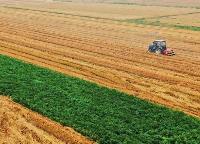 山西成立“三夏”生产工作专班