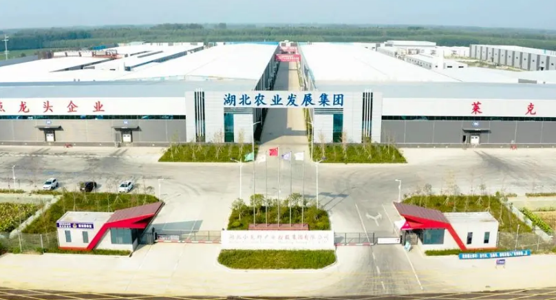 湖北农发集团加快推进产业链供应链建设 助力“三农”发展