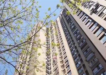 多地房地产政策“组合拳”持续加码 楼市交易活跃度明显提升