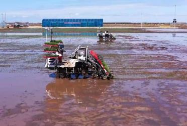 黑龙江春耕生产即将全面告捷