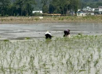 四川春灌供水约25.3亿立方米 进度快于上年同期