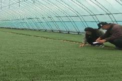 黑龙江金融服务有温度 春耕推进有速度