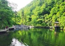 端午假期黑龙江省周边游预订单量剧增