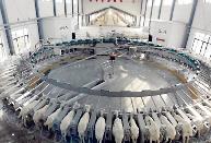 团体标准《绵羊生乳》发布  推动羊奶产业规模化、标准化提升