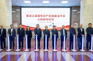 黑龙江省国有资产资源盘活平台正式上线运行