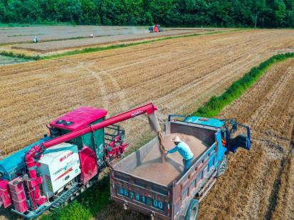 河南省麦收过半 夏播已陆续展开