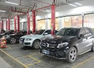 政策合力促消费 多地汽车销售增长明显