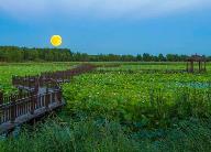 黑龙江4地入选全国村庄清洁行动先进县