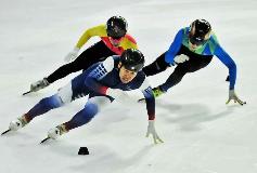 黑龙江七部门 加强亚冬会知识产权保护