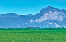 宁夏推进“一河三山”生态保护修复：黄河清 贺兰美 六盘绿 罗山翠