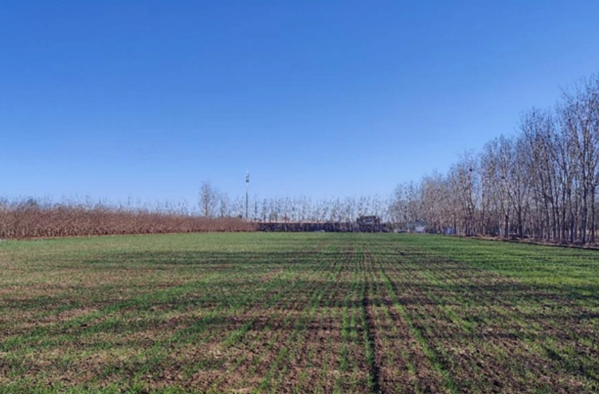 北京发布2024年“田长制”任务清单