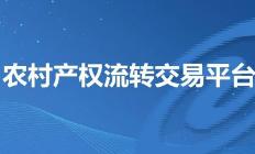 山西省完善农村产权流转交易平台监管体系