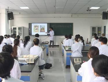 全国首个大熊猫学院正式招生 首批招50人