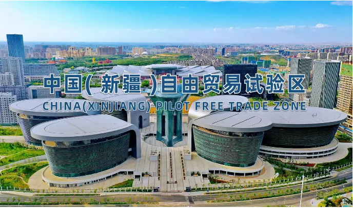 同比增长48.4%！最年轻自贸试验区交出成绩单