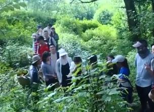 “采菌游”热、“烧烤经济”火 暑期文旅消费场景持续“上新”