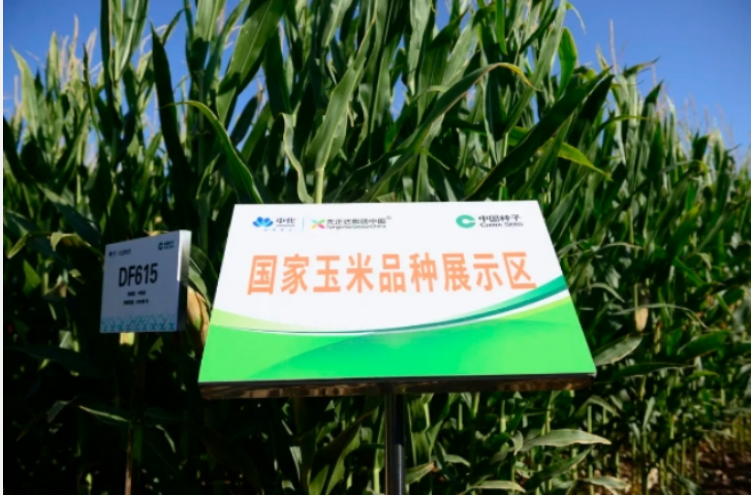 中国中化中国西北春玉米研发中心正式启用