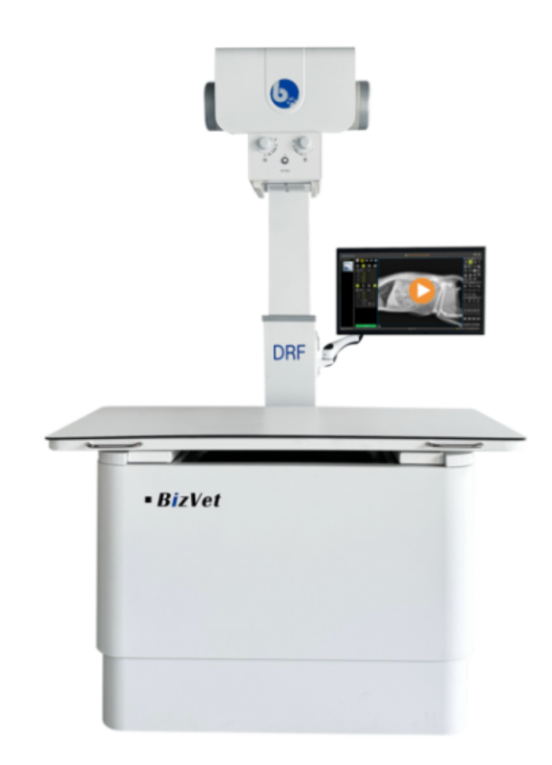 dr品牌怎么样2024年上半年中国宠物DR市场前十强品牌分析_https://www.jmylbn.com_新闻资讯_第5张