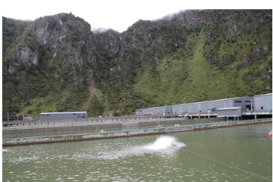 雪域高原焕新貌：本地新鲜鱼虾“跃”上西藏群众餐桌