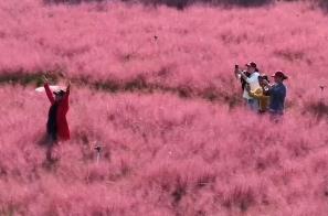 新玩法、新线路 秋日限定“上新” 激发“秋日经济”无限活力