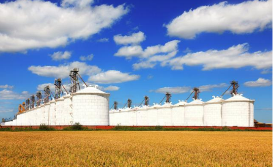 2024，盘点“大国粮仓”米袋子