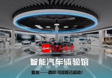 打造创新性汽车流通平台 国美宣布进军汽车行业