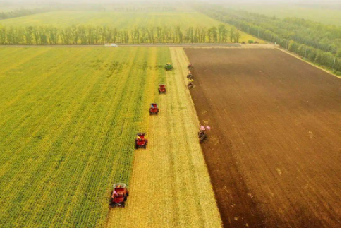 黑龙江税务落实惠农利企优惠政策，及时响应农企农户服务诉求