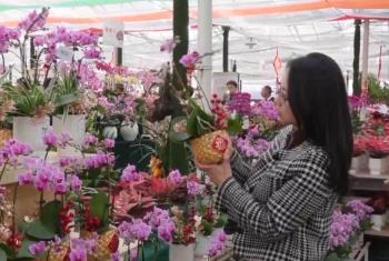 年夜饭外卖 飘香枣糕 外焦里嫩干煸鱼 多地开启“春节档”