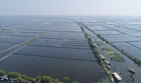 江苏发布《洪泽湖渔业资源保护若干规定》