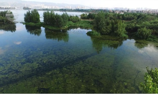 地表水优良水质断面比例首超九成