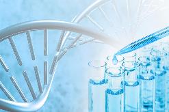 两部门部署开展第二批生物医用材料创新任务揭榜挂帅工作